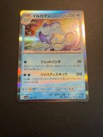 Palafin 047/190 - SV4a - Shiny Treasure - Holo - Pokémon