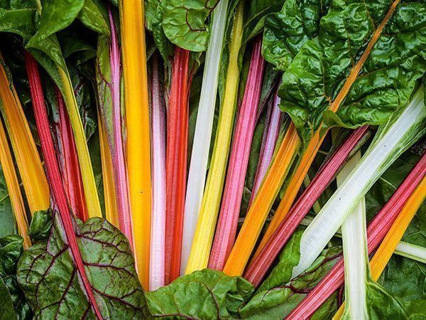 Piante & sementi: 50 Samen Mangold RAINBOW BLEND – Nuovo (secondo la descrizione) da Ehrendingen venduto da VerveinaSamen 2