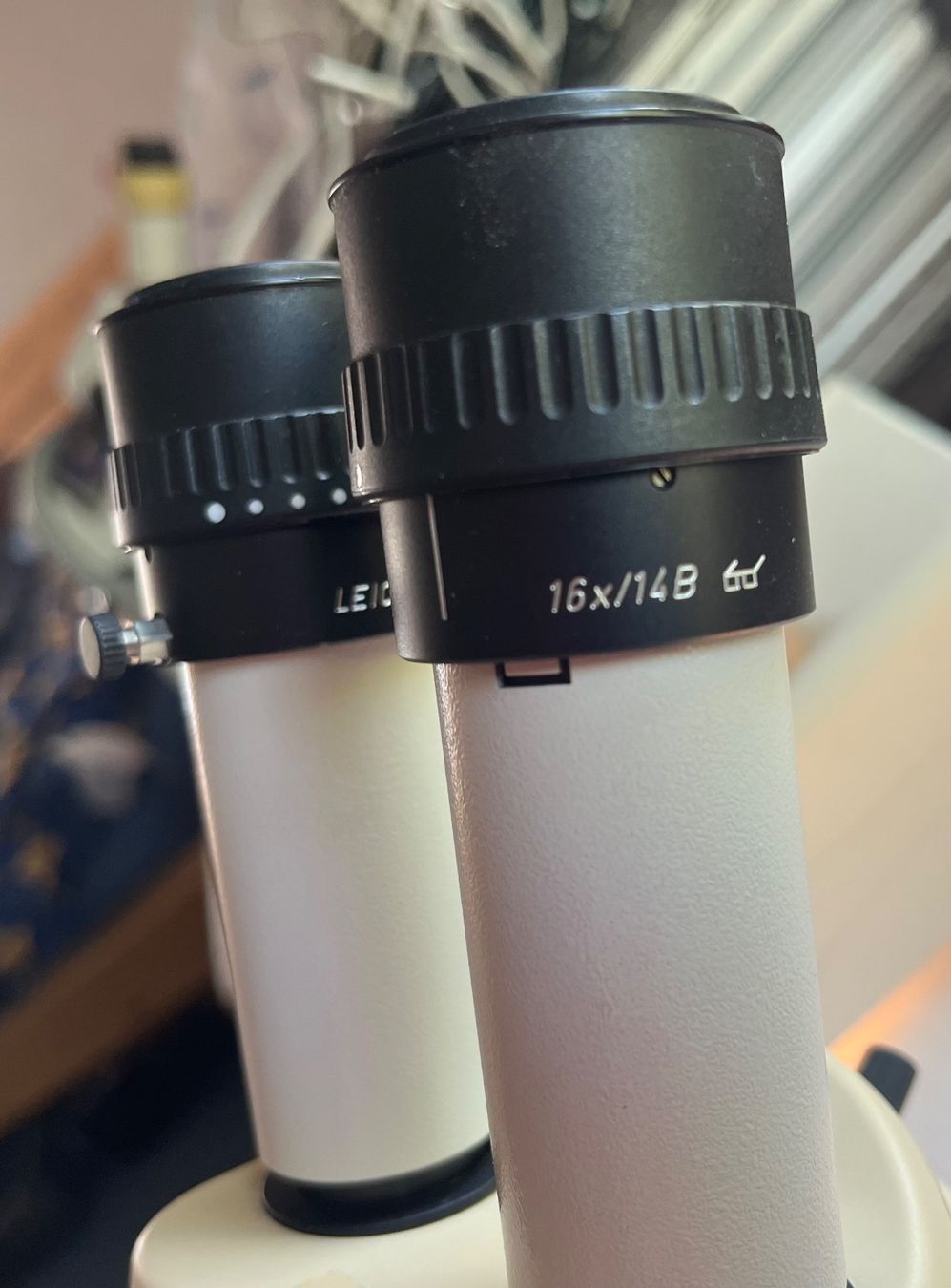 Leica Mikroskopie: Binoculaire Leica MS5 – Gebraucht aus Delémont von Cannonus 3