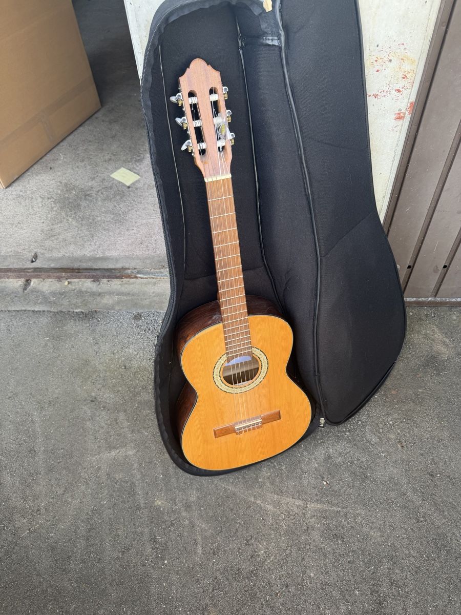 Strumenti musicali: Gitarre  – Usato da Baden venduto da noli.r