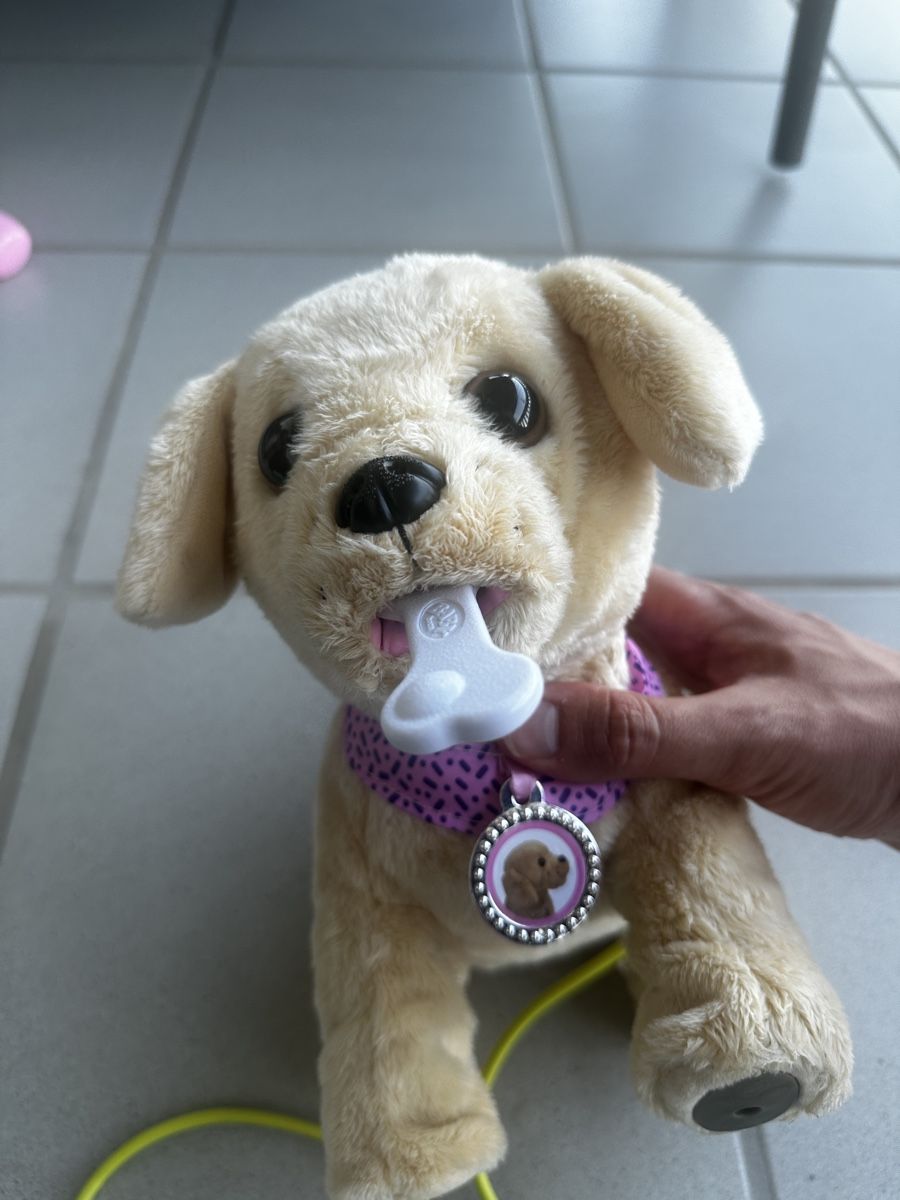 Giocattoli: Baby Born Hund Lucky – Usato da Forch venduto da sv94 1