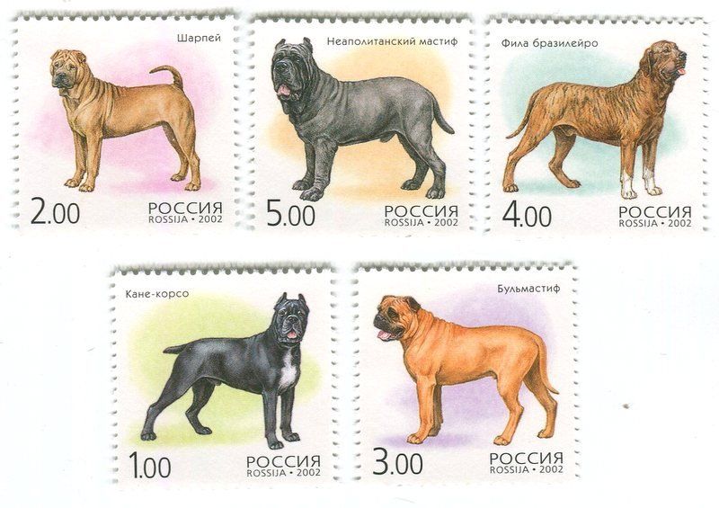 Tutti i francobolli: Briefmarken "Hunde". Russland – Nuovo e nell'imballaggio originale da Basel venduto da Butsch5