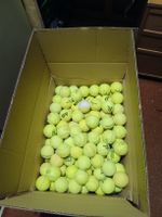 Tennisbälle Gebraucht 100 stk 