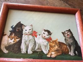Herziges kleines antikes Katzenbildli