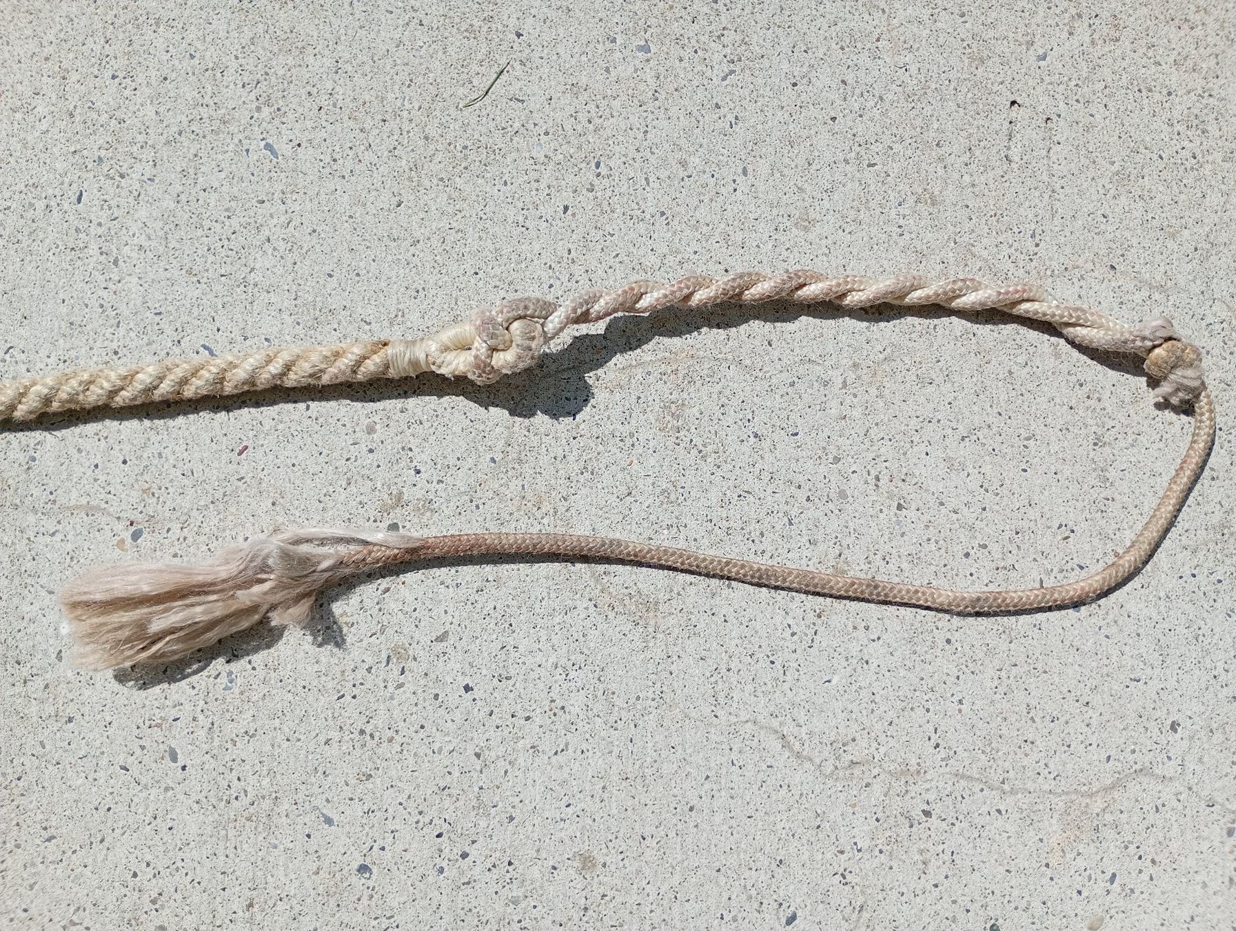 Autres accessoires pour animaux: Klausgeissel gross und klein – D'occasion à Möriken AG par Vellas 5