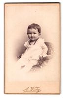 Fotografie A. Wicky, Berne, Portrait Kle