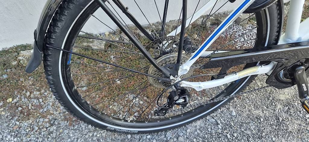 Biciclette: E-bike Wheeler – Usato da Aadorf venduto da BrunusBike 2