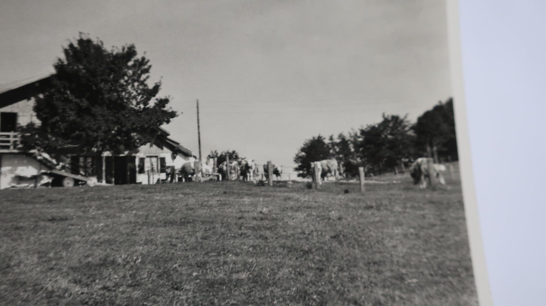 Ansichtskarten: Bellevue en Provence  1962 – Gebraucht aus Cormoret von Pascalll2001 2