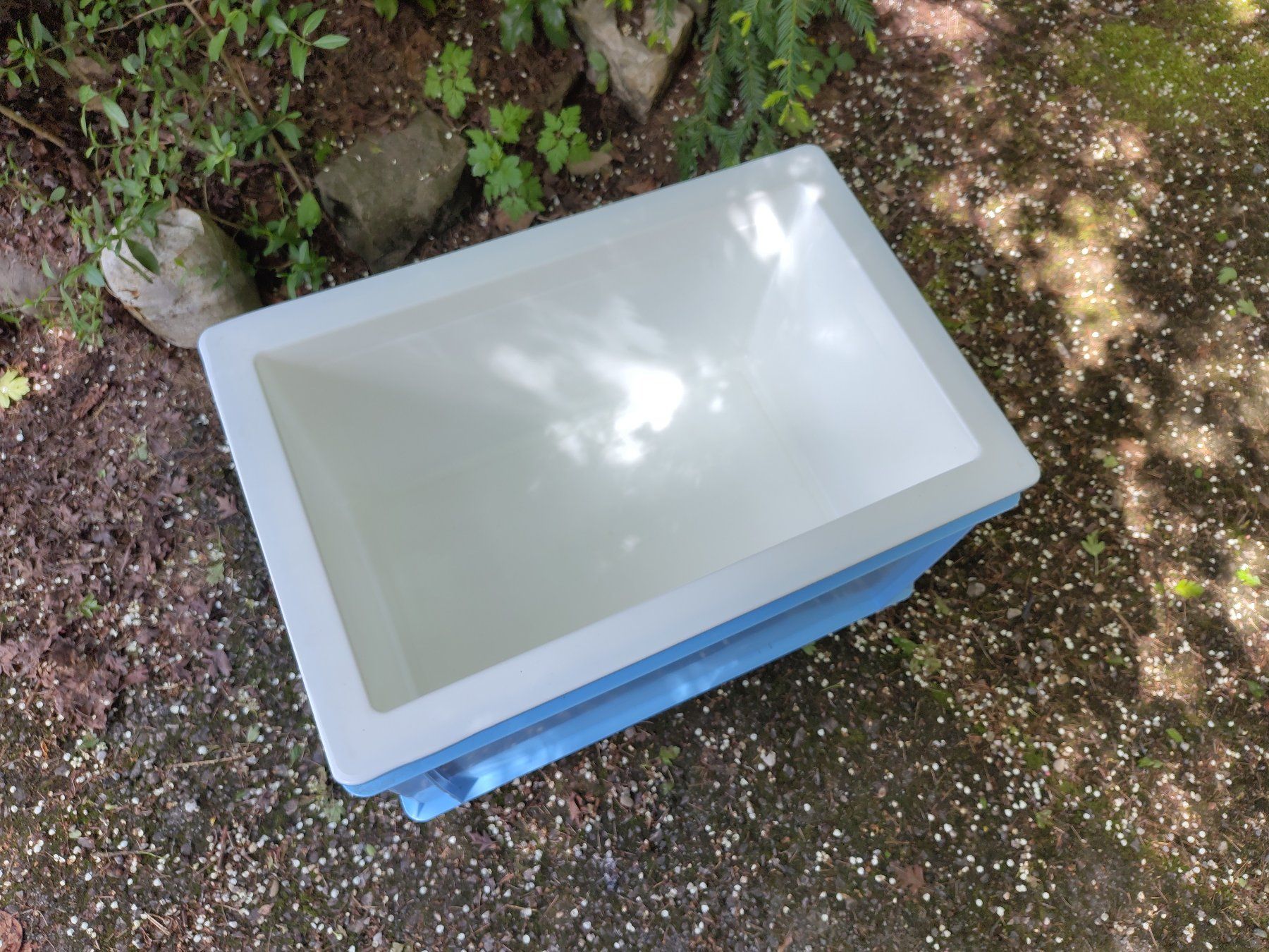 Frigoriferi & Refrigeratori: Utz Coolbox mit Deckel, Kühlbox / Isolierbehälter Gastro – Usato da Langnau i. E. venduto da antrik 1