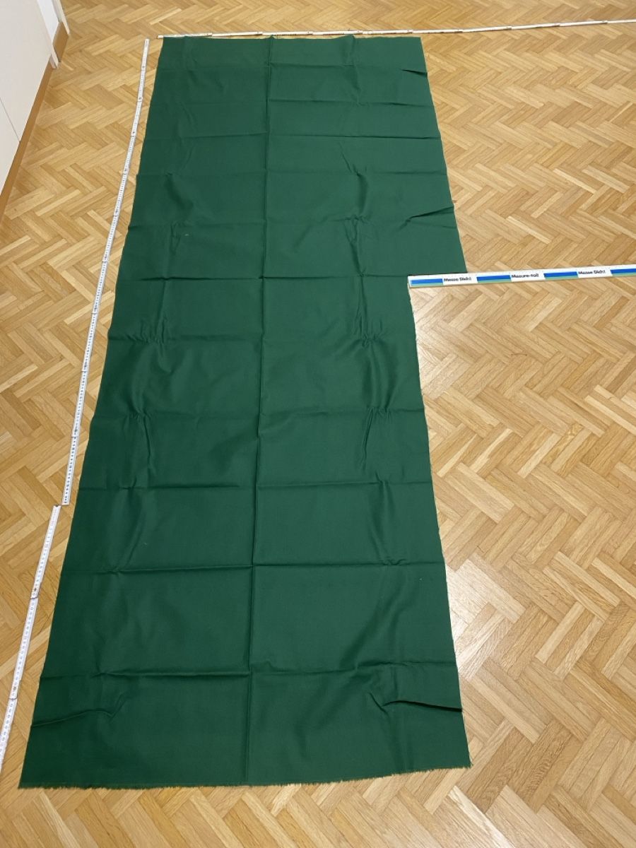 Tessuti: Grüner Stoff ca 82cm -255cm – Nuovo (secondo la descrizione) da Flawil venduto da sonnengeist 2