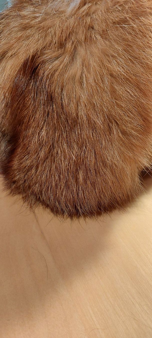 Copricapi, berretti & cappellini: Rotfuchs Mütze – Usato da Lupfig venduto da Robob2 3