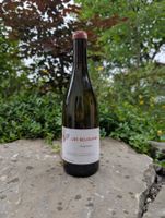 VDF Clos des Brétèches, Les Belouines 2022