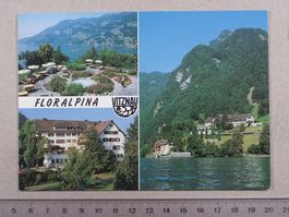 Vitznau, Ferienhotel Restaurant Floralpina, 1994