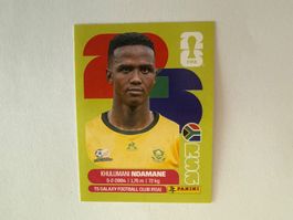 Ndamane RSA7 - Panini CH Edition WM 2026