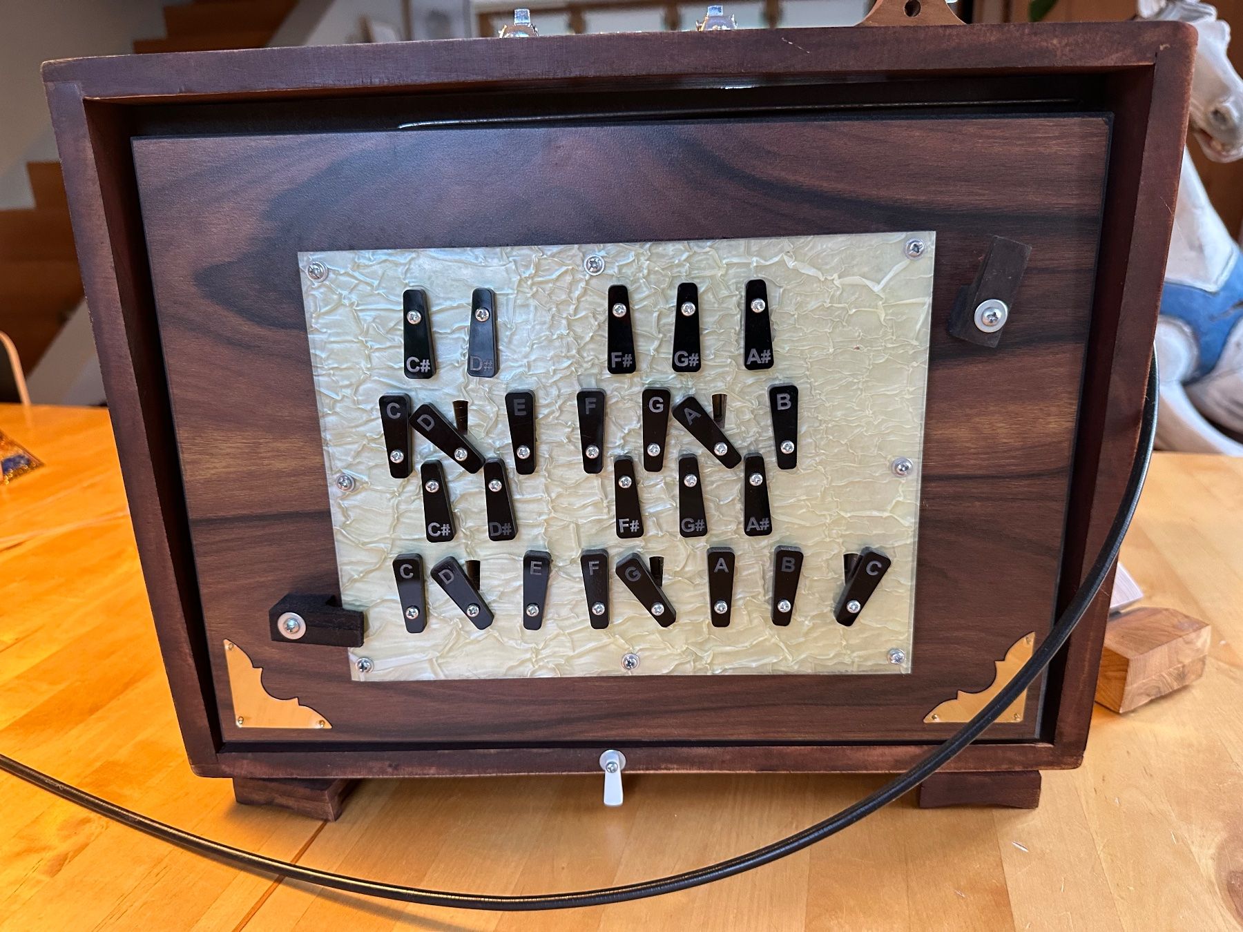 Strumenti musicali: Shruti Box Handgefertigt, 25 Tasten – Usato da Uttwil venduto da hermes72