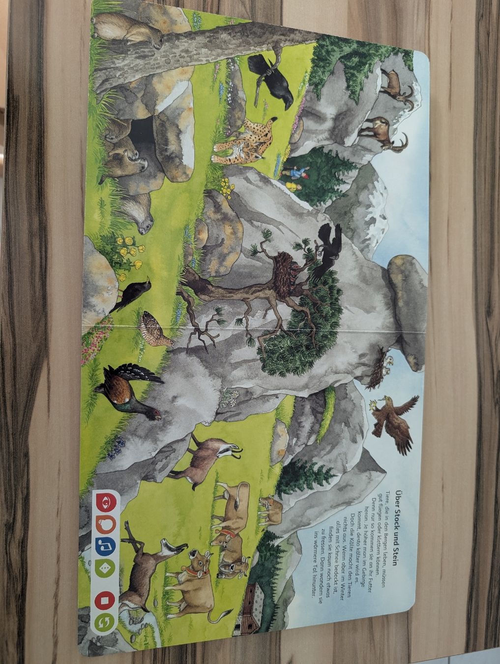 Ravensburger Spiele: tiptoi Bilderlexikon Tiere Ravensburger – Gebraucht aus Worben von rog_z89z 2