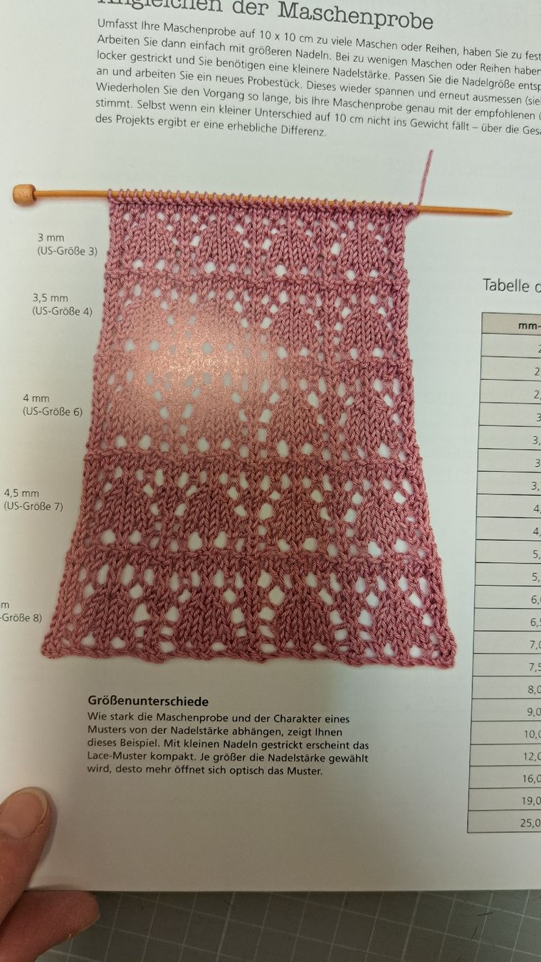 Libri: Buch Das grosse Buch des Lace Strickens – Usato da Zofingen venduto da Gabe0815 2