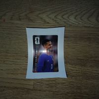 Panini