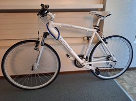 28" Citybike Pista Bianca California Alu 52cm