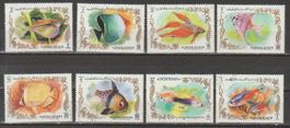 Poissons Ajman State - Superbe!