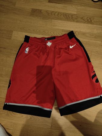 Nike NBA Basketball Shorts Raptors
