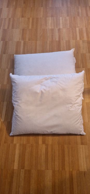 IKEA Gosa Pinje Kissen, 2 Stk, 60x50cm (Gebraucht) in Riehen für CHF 10 ...