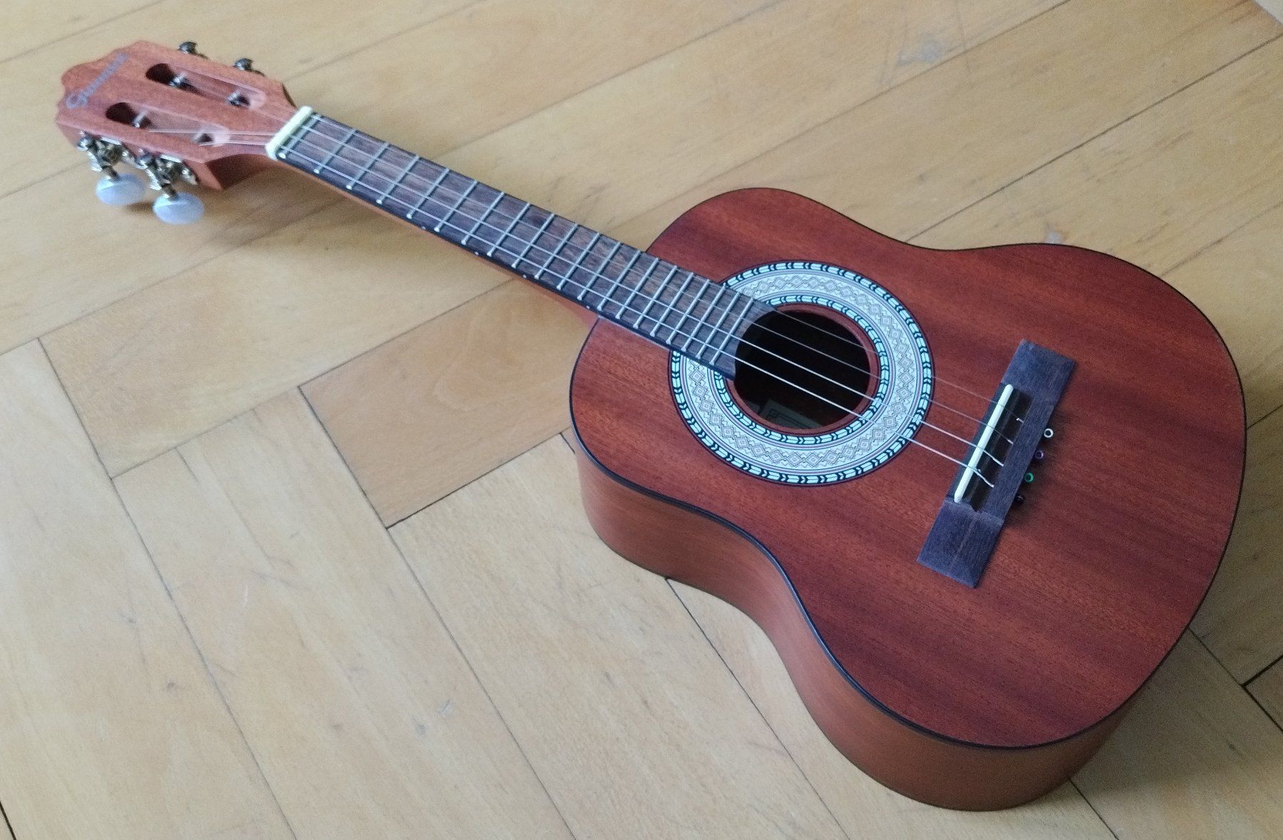 Giannini Musikinstrumente: Cavaquinho acoustique Giannini neuf – Neu und originalverpackt aus Vevey von Djporradao 2