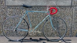 Sprinter Vintage Velo