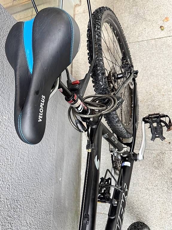 Biciclette: Stevens Bike – Usato da Zürich venduto da Cibin 2