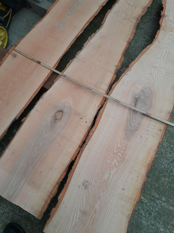 Articoli in legno: Eschen Holz – Nuovo (secondo la descrizione) da Grosswangen venduto da paluki 5