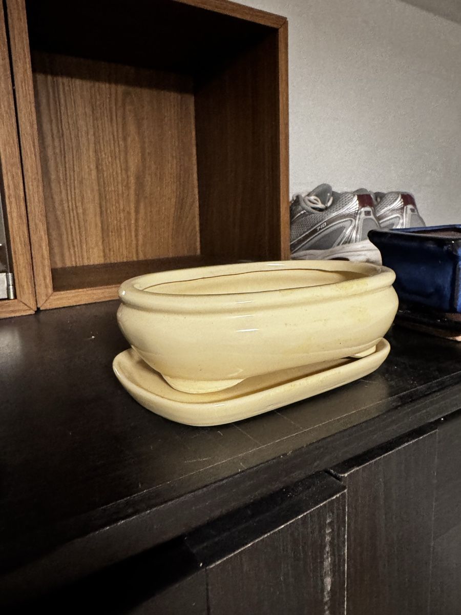 Pots de fleurs: Bonsaischalen Set mit bunt – D'occasion à Riken AG par Herakles.18 1