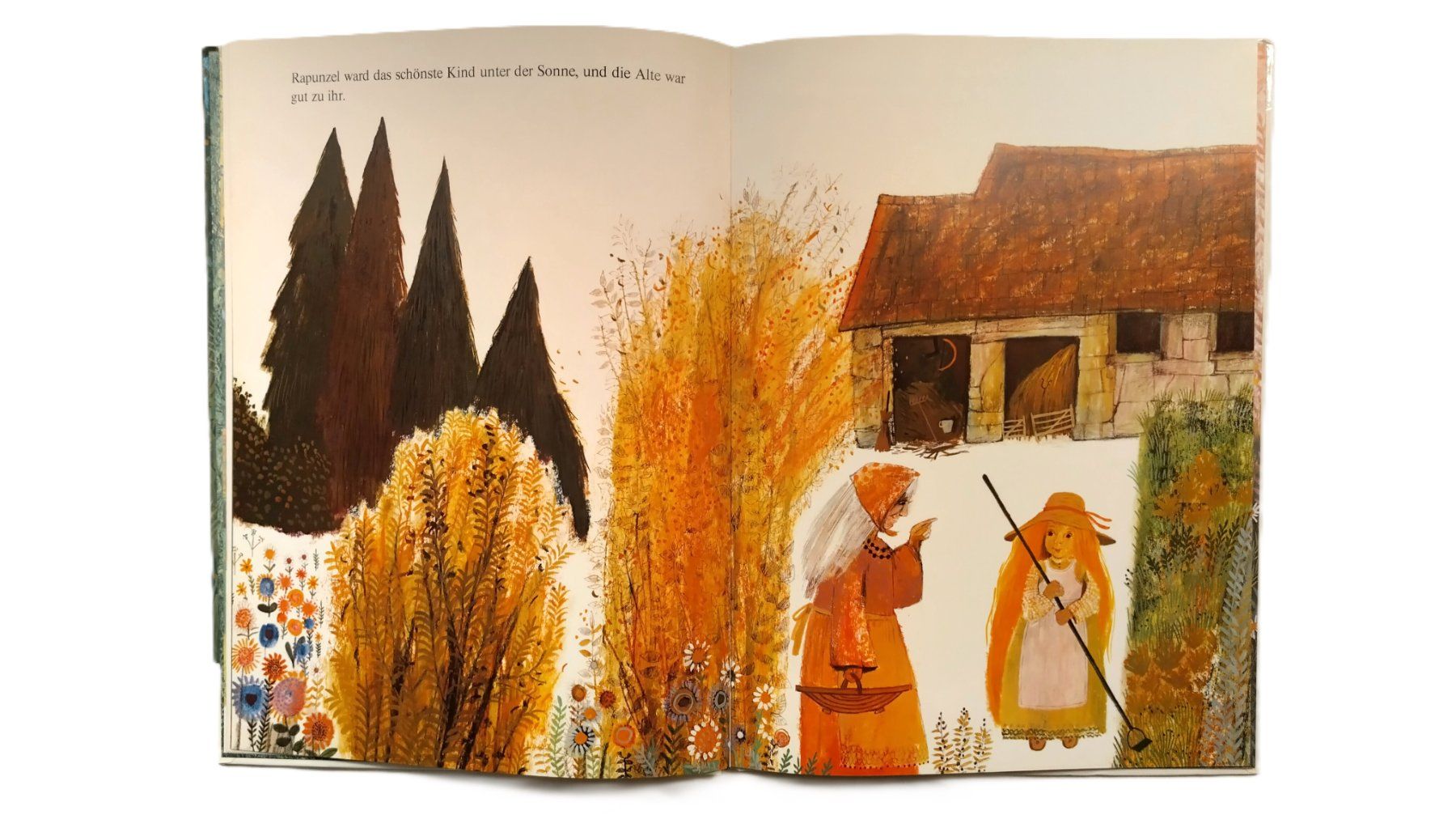 Libri: Bernadette - Rapunzel / Bilderbuch 1979 ab Fr. 10.- – Usato da Bellach venduto da JingleJerry 6