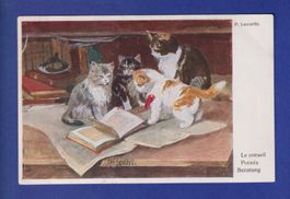 CHAT - La Conseil - P. Leuteritz