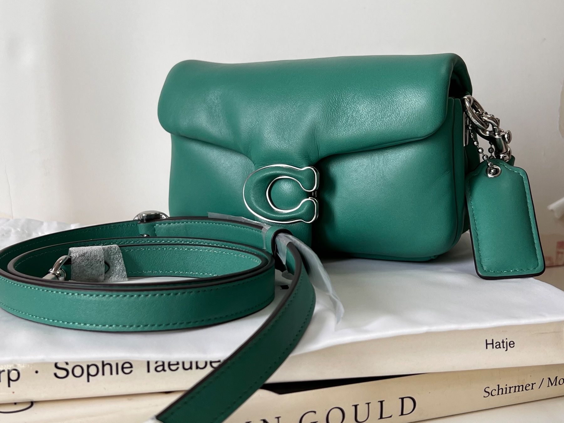 Coach Borse da donna: Coach CLOSURE PILLOW TABBY SHOULDER BAG – Nuovo (secondo la descrizione) da Fischbach LU venduto da Dear.Luki 8