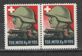 Territorial-Trp. Nr. 413/1 Paar **