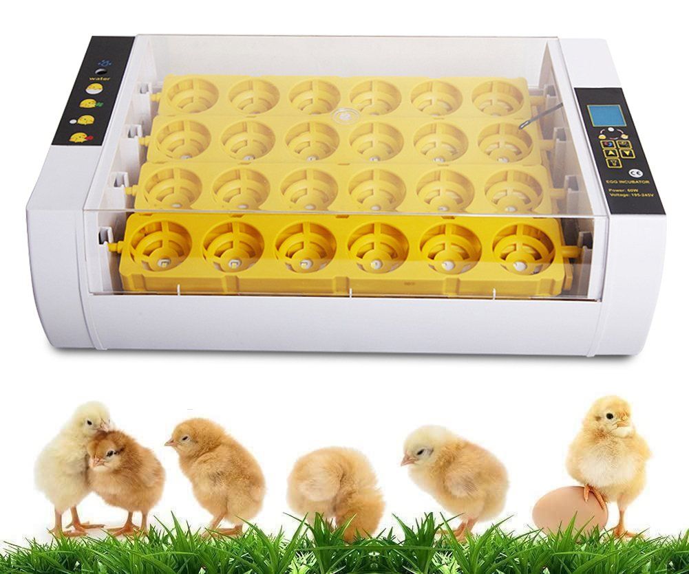 Altro in Accessori per animali: +24 Eier Brutmaschine Brutapparat – Nuovo (secondo la descrizione) da Thun venduto da Laoye 4