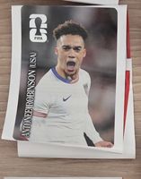WM Cola Panini Antonee Robinson (USA)