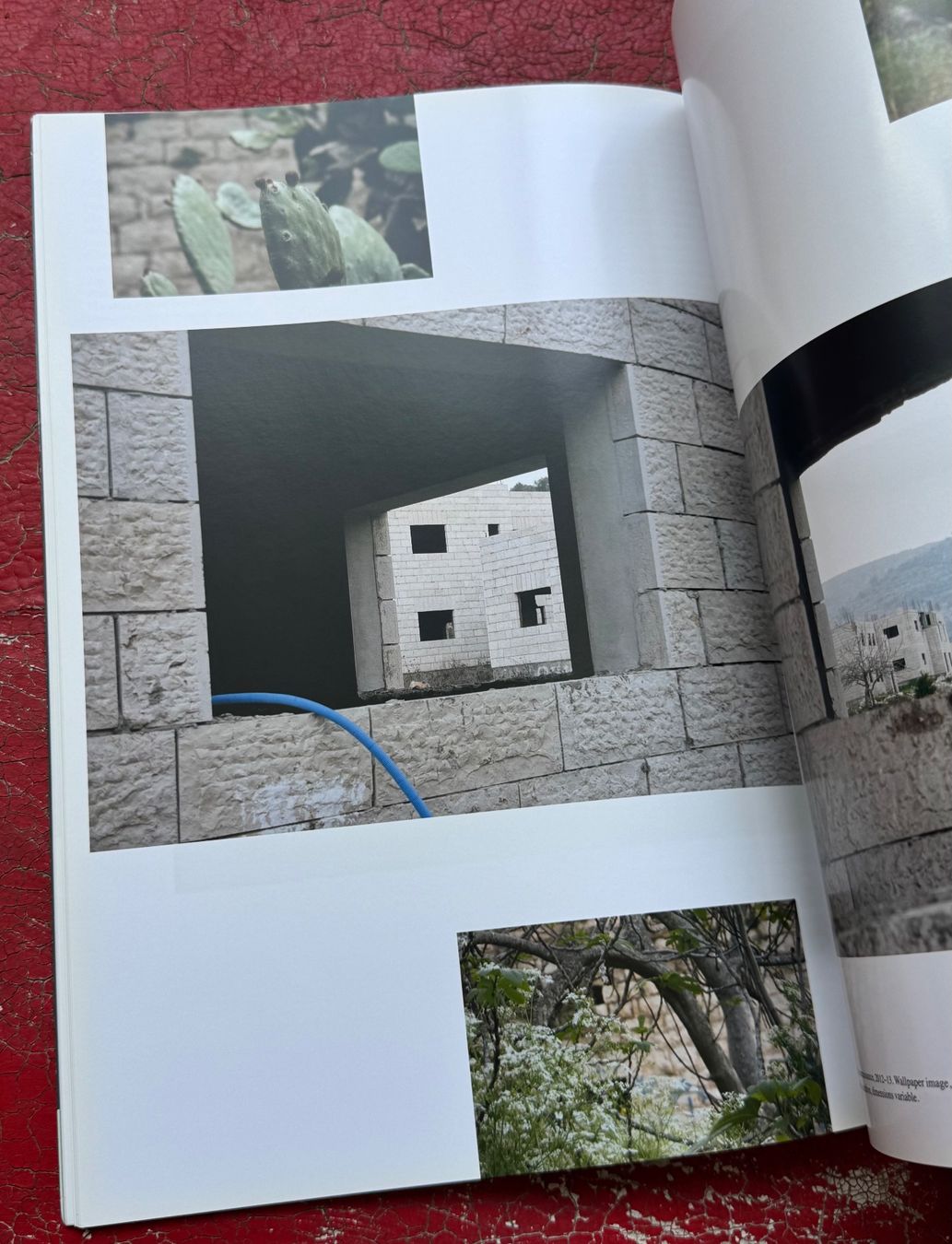 Zeitschriften & Magazine: Camera Austria International 135 / 2016 mit Uriel Orlow – Gebraucht aus Basel von Ostschweiz06 2