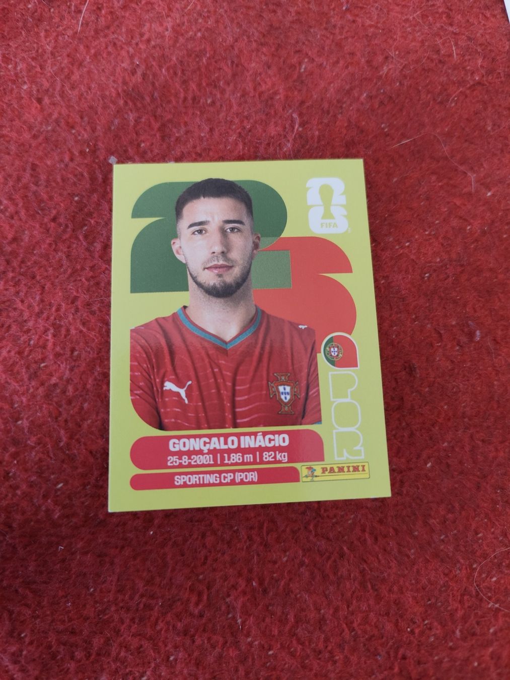 Panini Carte collezionabili: Panini Bild Por 8 – Nuovo (secondo la descrizione) da Lieli venduto da Maholo