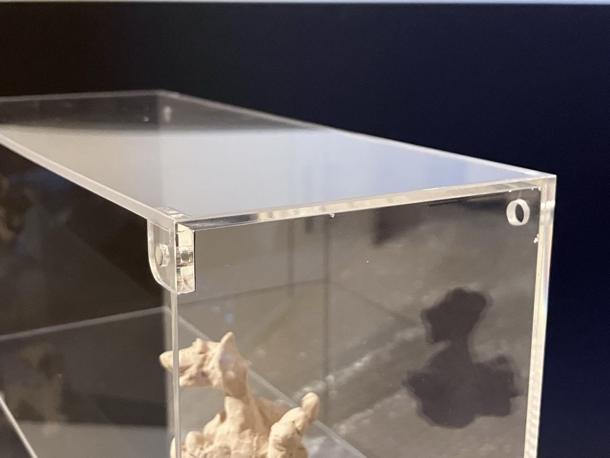Vetrine: Neue Acrylvitrine (feiner 1cm Kratzer in Front) – Nuovo e nell'imballaggio originale da Bremgarten AG venduto da merlindimi 3