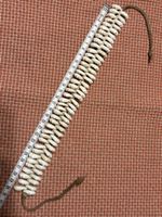 Halskette / Halsband aus Muscheln