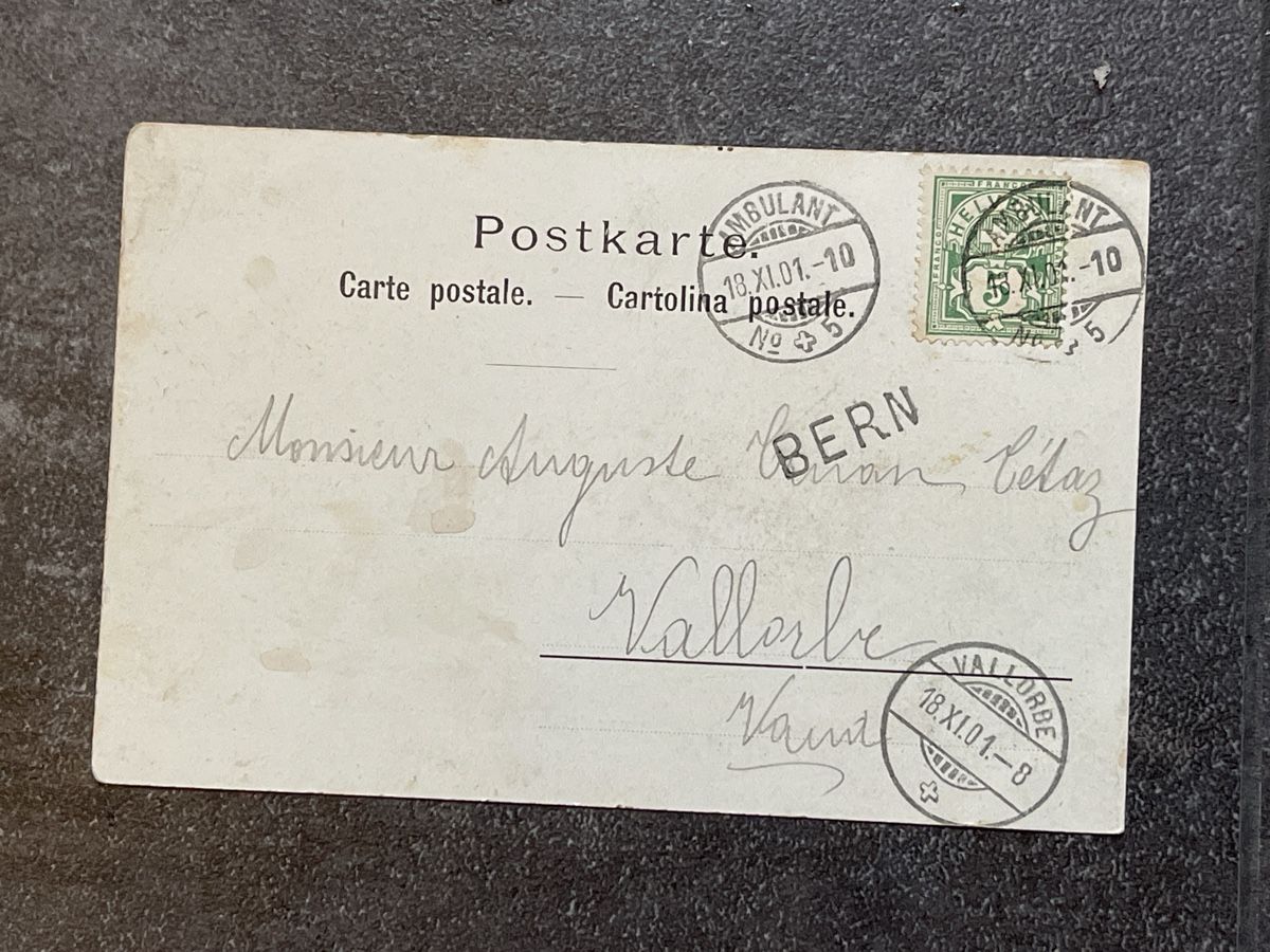 Cartoline postali: Ansichtskarte Bären Fahrrad Bern CH – Usato da Strengelbach venduto da Aschatan5 1