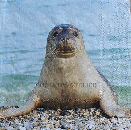 Servietten: Serviette seal (1105) 2Stk. – Neu (gemäss Beschreibung) aus Schlatt TG von kreativ-atelier