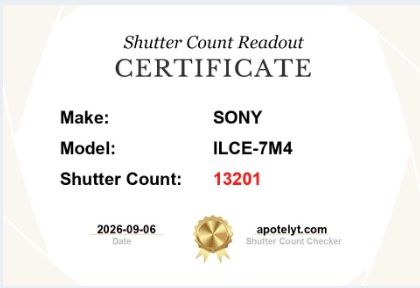 Sony Fotocamera: Sony Alpha 7 IV – Usato da Ettenhausen TG venduto da Maxdata7 5