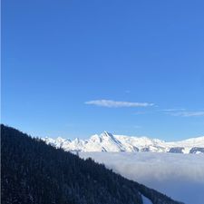 Profile image of bis_fs8h
