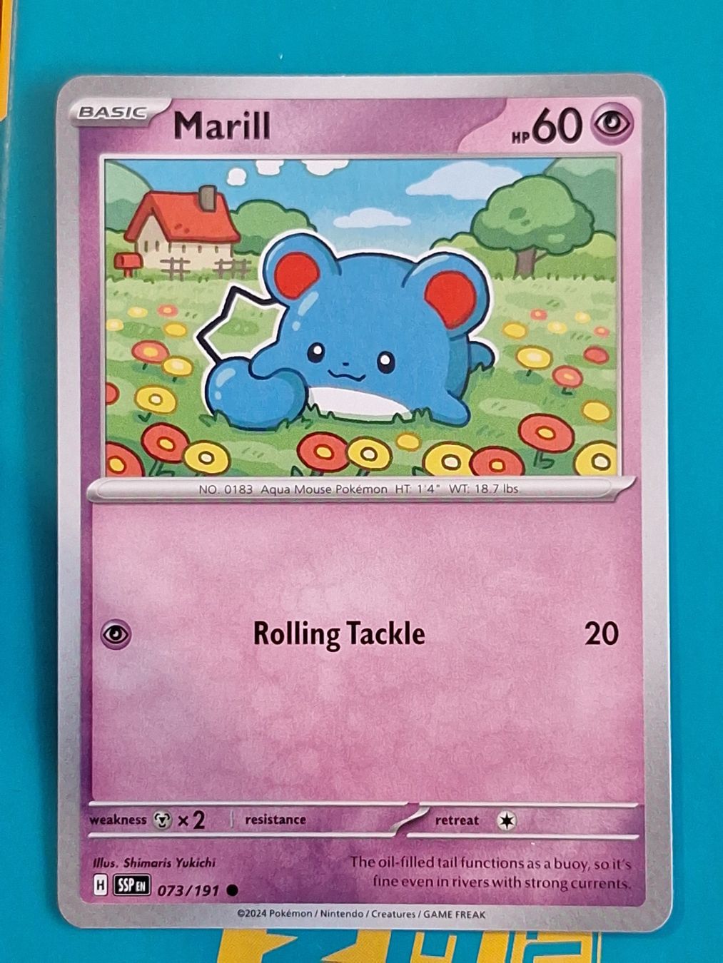 Pokémon Carte collezionabili: Marill - Pokemon Surging Sparks – Usato da Altstätten SG venduto da GGsGameshop