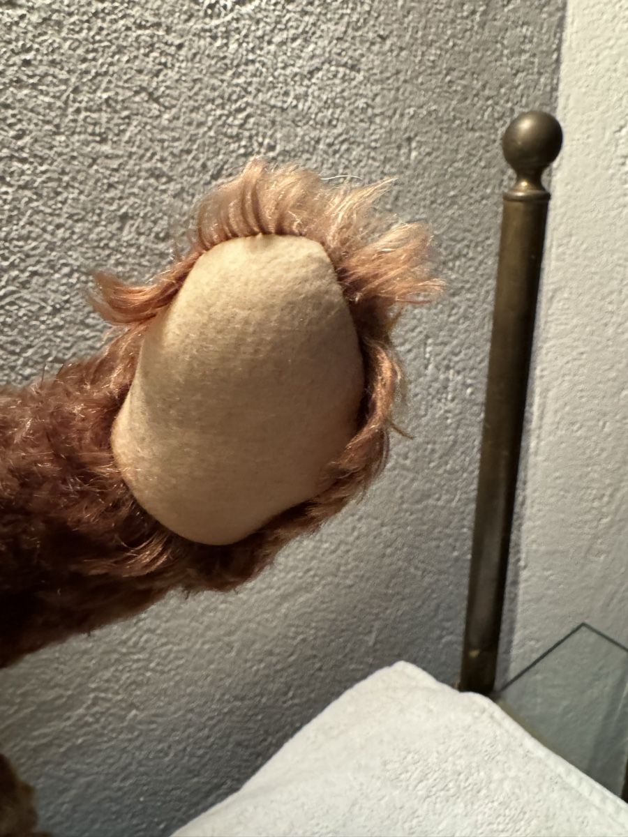 Steiff Giocattoli: Steiff Teddy – Usato da Binningen venduto da kal_5nsj 5