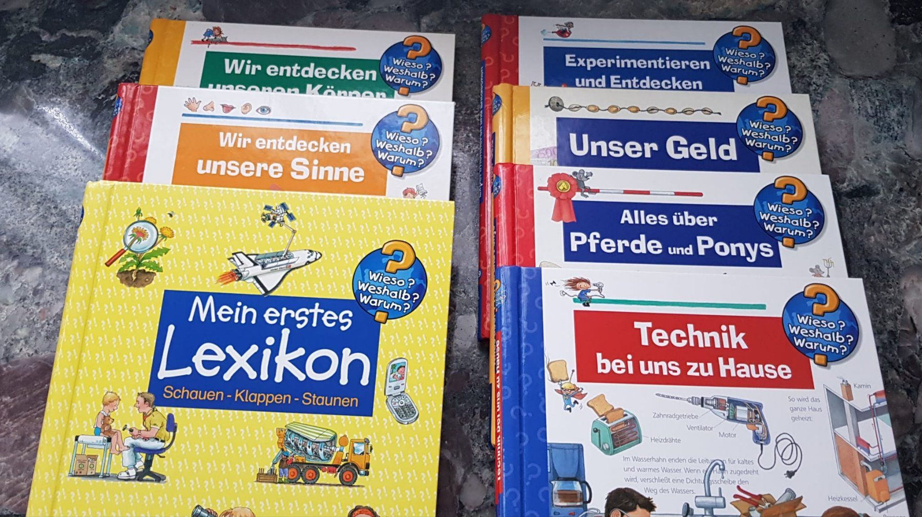 Tiptoi Giochi: Kinderbücher und Tiptoi – Usato da Reinach AG venduto da Fifi03 1