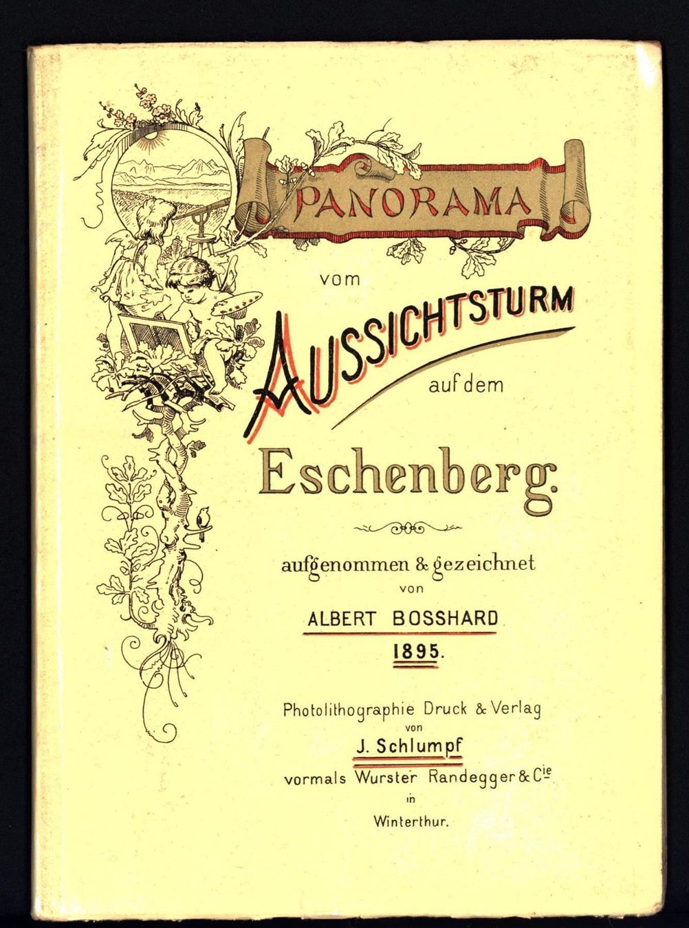 Cartine & Atlanti: Winterthur Eschenberg Panorama 1895 – Usato da Rafz venduto da Helvet32