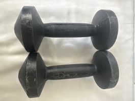 Hanteln 2 x 3,8 kg Gusseisen FBO gebraucht
